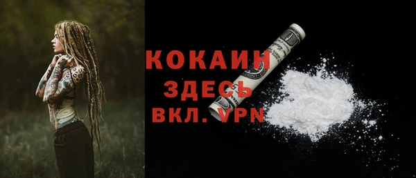 молекула духа Богородск