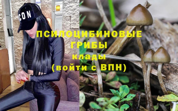 молекула духа Богородск