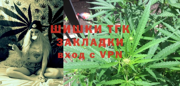 молекула духа Богородск