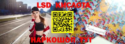 мдпв Бийск