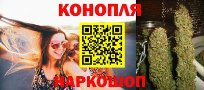 мдпв Бийск