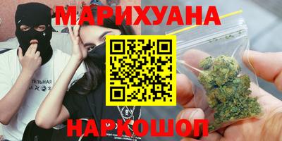 мдпв Бийск