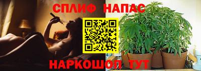 гашишное масло Берёзовский