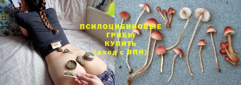 OMG сайт  Верхний Уфалей  Галлюциногенные грибы Magic Shrooms 