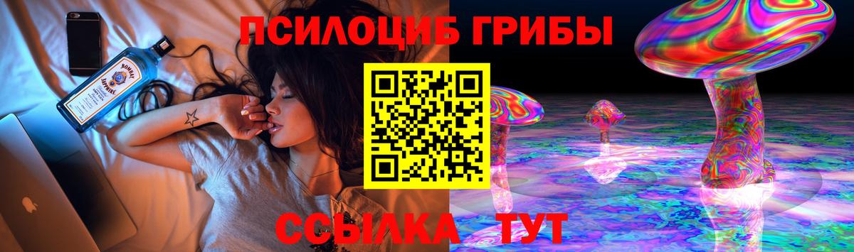 Галлюциногенные грибы прущие грибы Верхний Уфалей